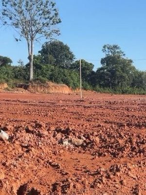 Quatro empreendimentos foram autuados por crimes ambientais no município de Careiro (a 88 km da capital), na Região Metropolitana de Manaus, durante uma ação de fiscalização conduzida pelo Instituto de Proteção Ambiental do Amazonas (Ipaam). A operação identificou extração ilegal de saibro (argila) e intervenções irregulares em Área de Preservação Permanente (APP), resultando em R$ 803 mil em multas e no embargo de três áreas que somam 3.520 hectares.